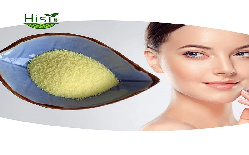 Alpha Lipoic Acid Powder Application 2 Alpha Lipoic Acid Powder Application 2