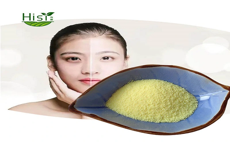Alpha Lipoic Acid Powder Applications