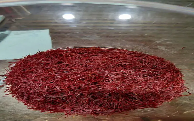 Saffron SHOW Saffron SHOW