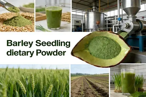 Barley Seedling Powder be made Barley Seedling Powder be made