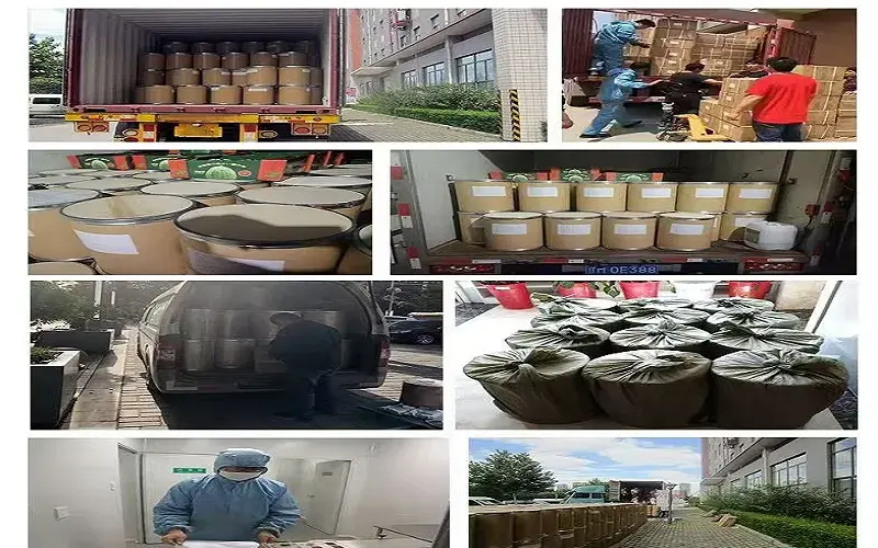 We present the shipping scenarios from multiple perspectives.