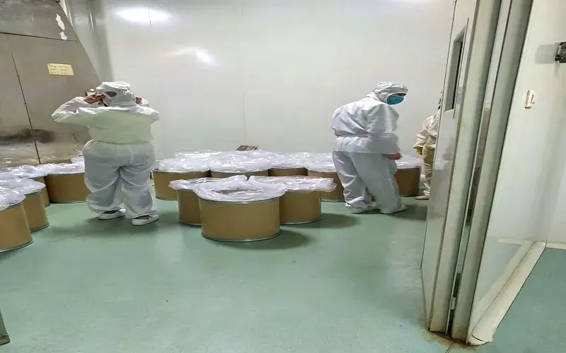 Our spray drying workshop in action (real shooting)