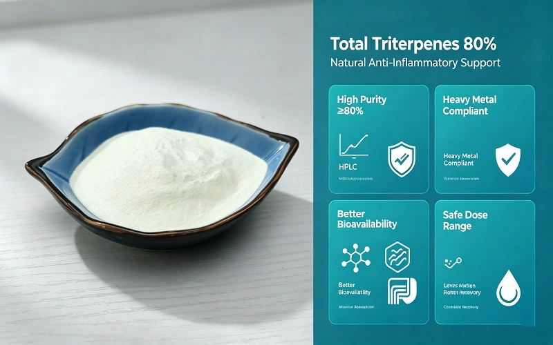 Why Total Triterpenes Are Superior for Natural Inflammation Control