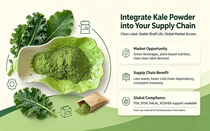 Integrating Kale Powder into Your Product Line or Supply Chain