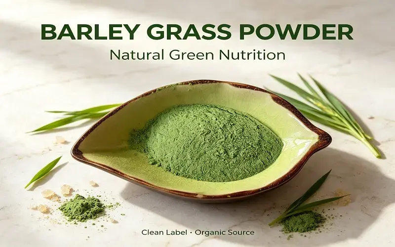 Barley Seedling Powder overview barley grass powder overview