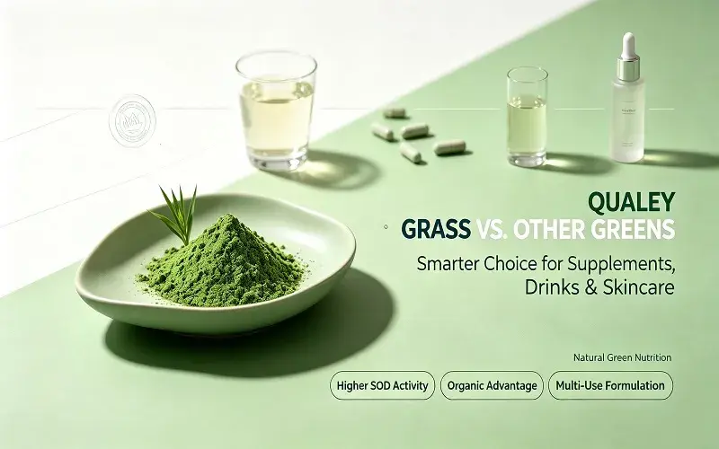 Comparing Organic Barley Seedling Powder with Other Green Supplements Comparing Organic Barley Seedling Powder with Other Green Supplements