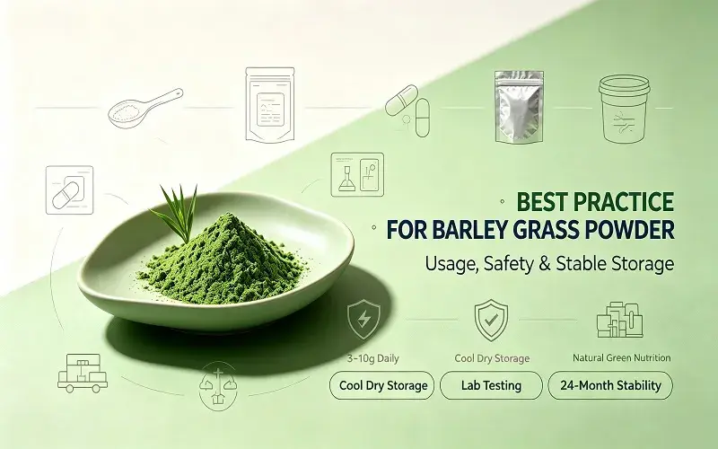 Best Practices for Using Organic Barley Seedling Powder in Supplements Best Practices for Using Organic Barley Seedling Powder in Supplements