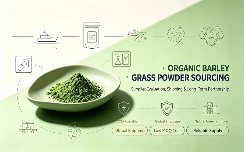 How to Procure Organic Barley Seedling Powder for Your Supplement Business How to Procure Organic Barley Seedling Powder for Your Supplement Business