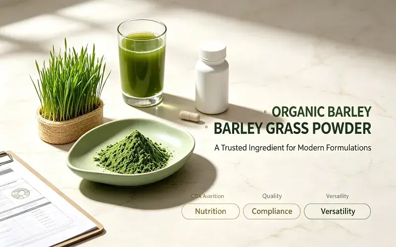  Barley Seedling Powder conclusion