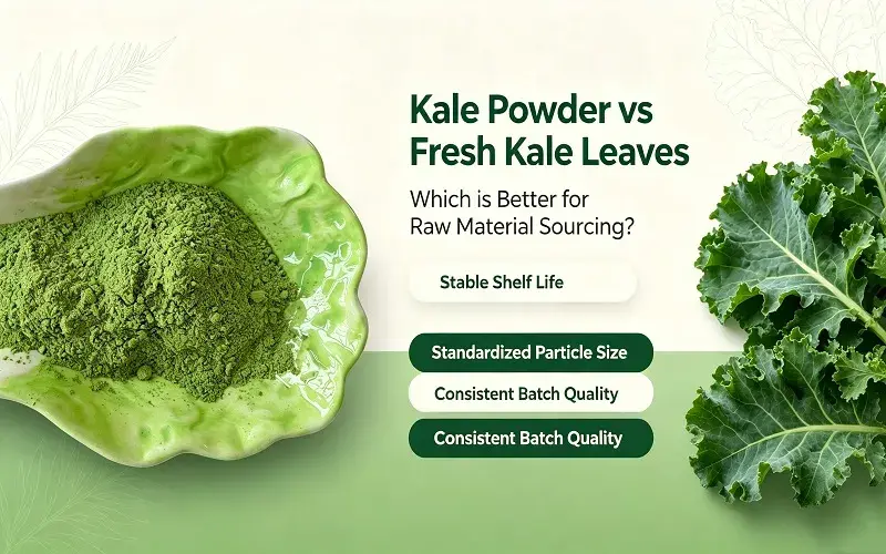 Kale Powder Vs Kale fresh leaves