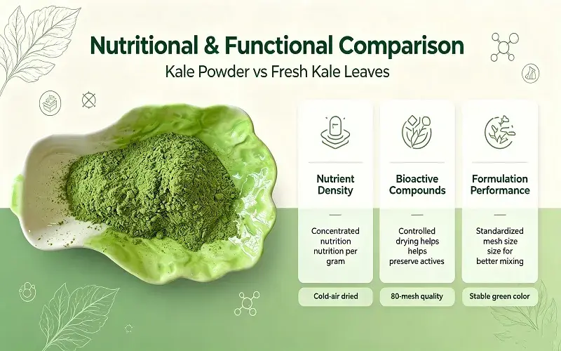 Kale powder Nutritional and Functional Comparison infographic