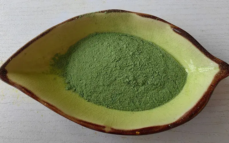 Barley Seedling Powder of Original picture Barley Seedling Powder of Original picture