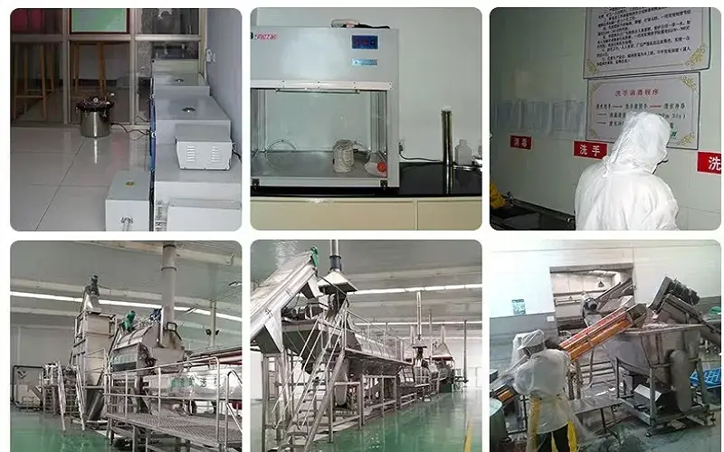 The schematic diagram of our professional equipment for producing various vegetable powders