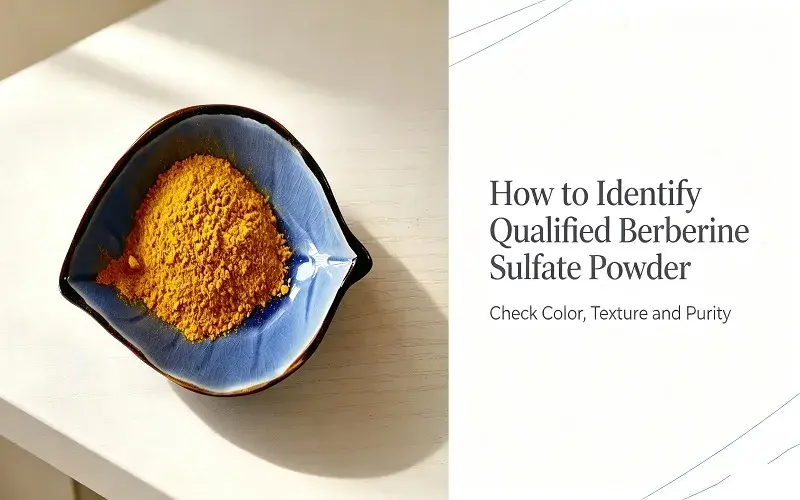 How to Identify Qualified Berberine Sulfate Powder overview