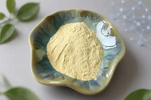 Can Phosphatidylserine Powder Support Memory and Focus?